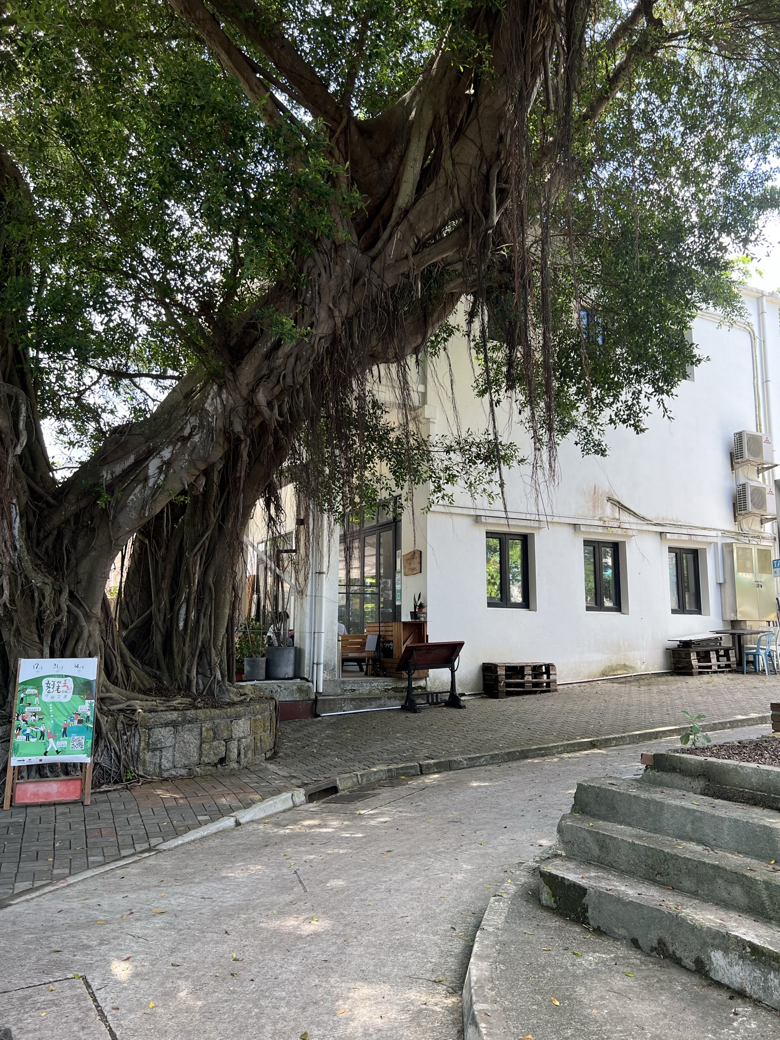 The Humble Room’s white exterior and wooden entrance beneath a large banyan tree in Mui Wo.